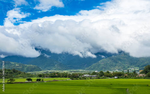 Green rice fields,white clouds, mountains in Hualien, Taiwan. photo