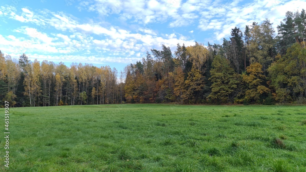 Beautiful green meadow surrounded by forest with blue skies and autumn yellow trees