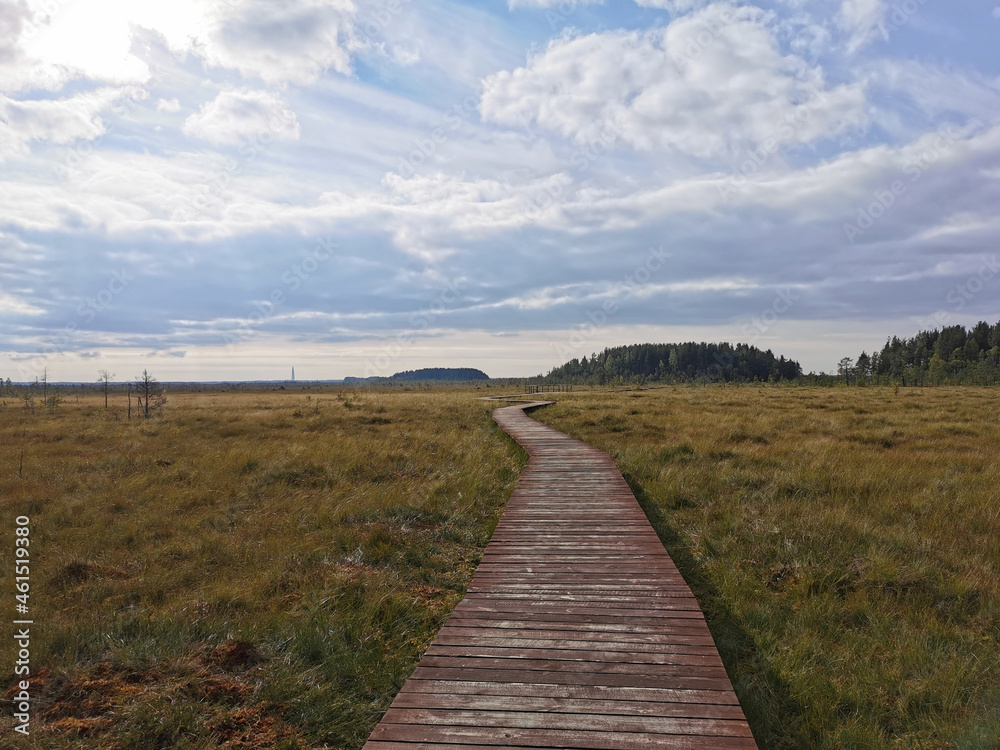 Wooden plank flooring over a swamp with yellowed grass against a beautiful sky with clouds.