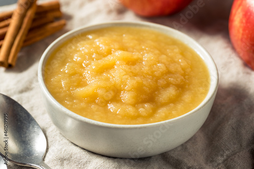 Healthy Organic Raw Apple Sauce