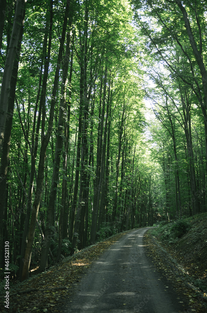 Fototapeta premium Exploring roads less ridden, little adventures around hometown