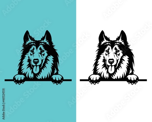 Collie  Peeking Dogs vector file any changes can be possible