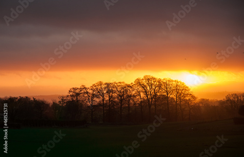 Sunrise over trees