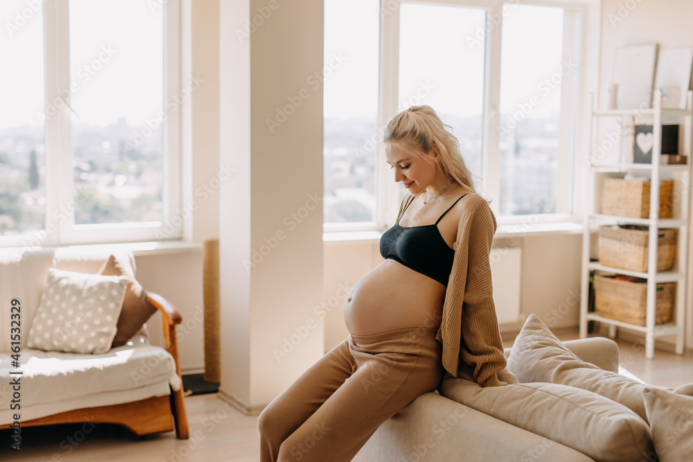 Pregnant woman wearing cozy home wear, sitting on a sofa in light airy interior. Pregnant woman wearing cozy home wear, sitting on a sofa in light airy interior.