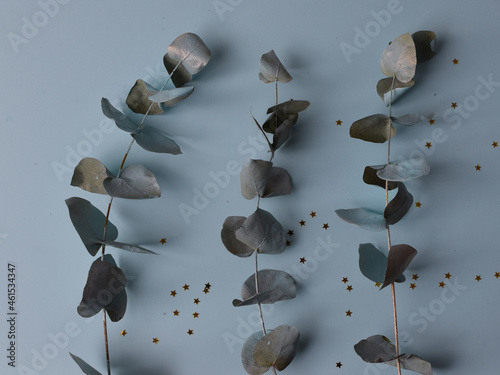twig with blue and gold leaves on a blue pastel background, photo