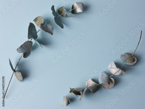 twig with blue and gold leaves on a blue pastel background, photo