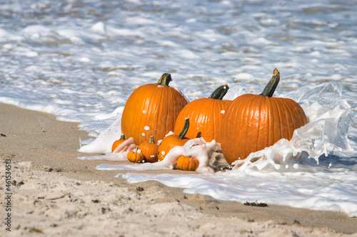 Pumpkins in the waves, on the sand, at the beach