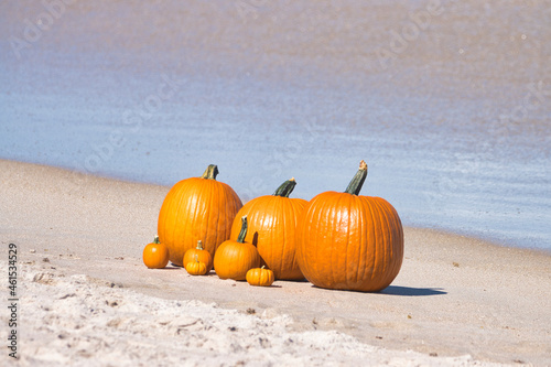 Pumpkins in the waves, on the sand, at the beach