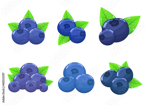 Blueberry vector design illustration isolated on white background