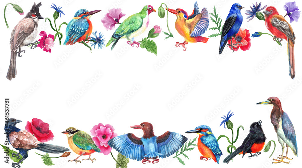 Fototapeta premium Watercolor colorful frame with wild birds and flowers. White background.