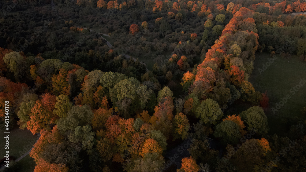 Flight over the autumn park. Trees with yellow autumn leaves are visible. Aerial photography. Flight over the autumn park. Trees with yellow autumn leaves are visible. Aerial photography.
