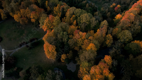 Flight over the autumn park. Trees with yellow autumn leaves are visible. Aerial photography. © f2014vad