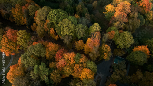 Flight over the autumn park. Trees with yellow autumn leaves are visible. Aerial photography. © f2014vad