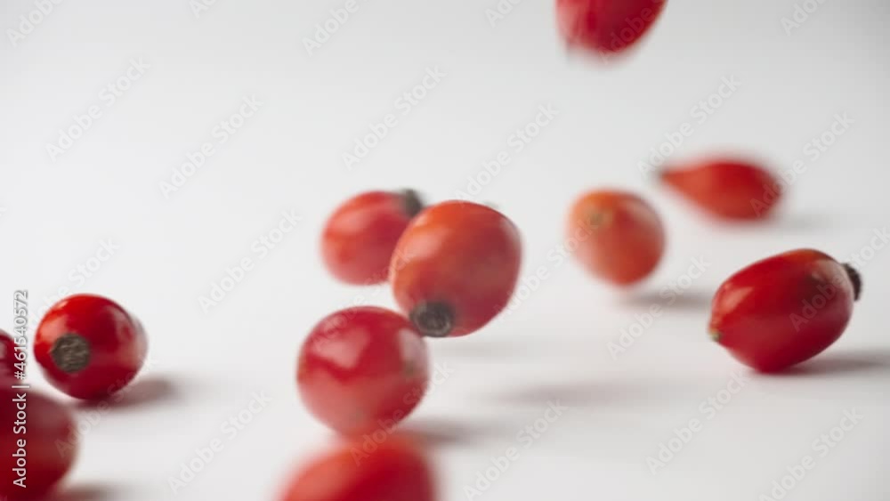 Fresh ripe rose hips fall on a white surface in slow motion. Fresh ripe rose hips fall on a white surface in slow motion.