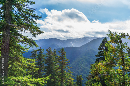 Hurricane Ridge Clousds 9