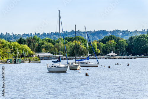Renton Lake Waterfront Boats 3