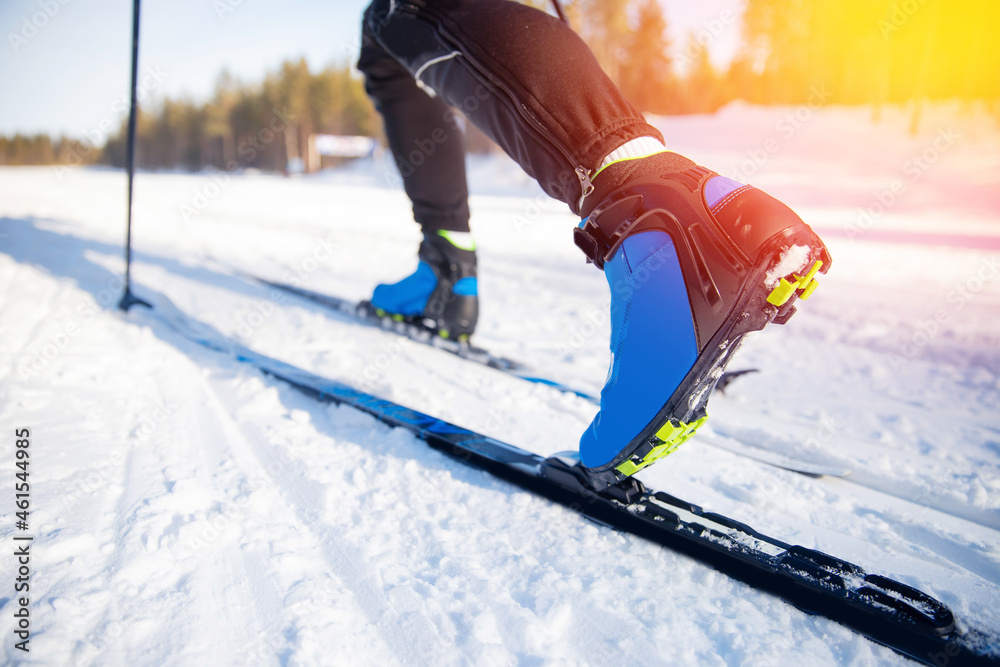 Fototapeta premium Cross country skiing Banner, winter sport on snowy track, sunset background