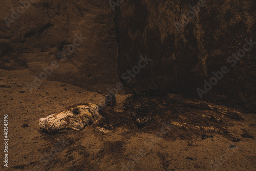 An old abandoned air raid shelter a sandstone cellar and bunker