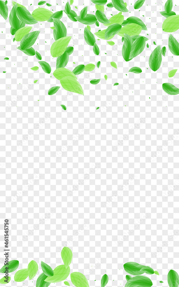 Green Leaf Background Transparent Vector. Vegetation Delicate Frame. Herbal Design. Greenish Food Texture. Leaves Light. Green Leaf Background Transparent Vector. Vegetation Delicate Frame. Herbal Design. Greenish Food Texture. Leaves Light.
