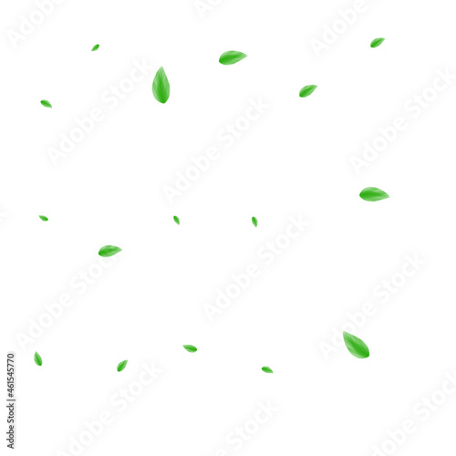Greenish Foliage Background White Vector. Vegetation Modern Illustration. Refreshing Card. Light Green Label Texture. Sheet Selective.