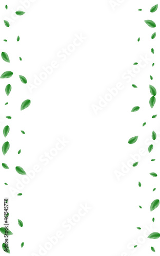 Greenish Foliage Background White Vector. Vegetation Decor Texture. Environmental Card. Green Blend Design. Sheet Eucalyptus.