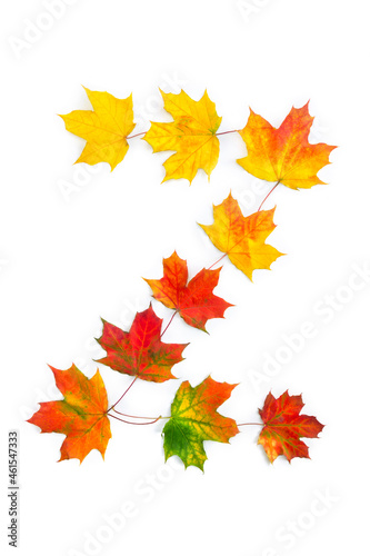 Letter Z of colorful autumnal maple leaves on white background. Top view, flat lay