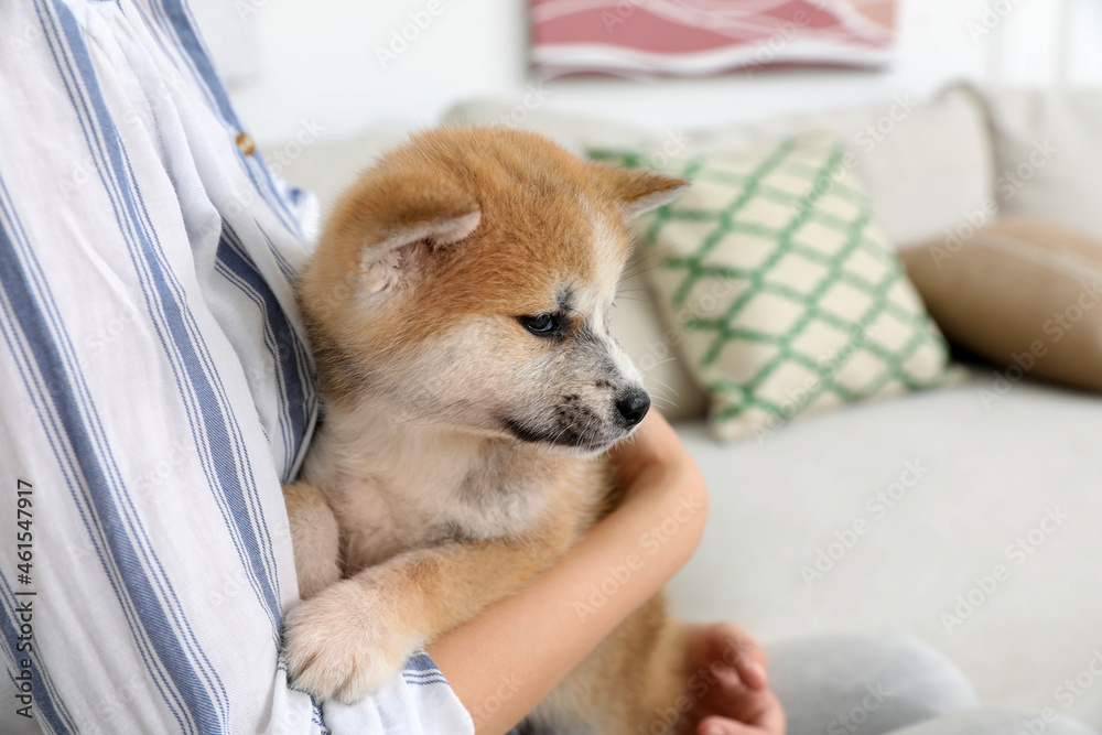 Woman with cute dog at home, closeup Woman with cute dog at home, closeup