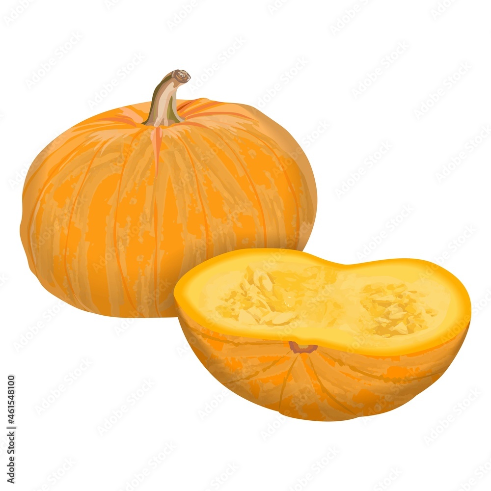 Sugar pie pumpkin for banners, flyers, posters, cards. Half yellow pumpkin. Halloween. October. Autumn. Fresh vegetables. Vector illustration isolated on white background Sugar pie pumpkin for banners, flyers, posters, cards. Half yellow pumpkin. Halloween. October. Autumn. Fresh vegetables. Vector illustration isolated on white background
