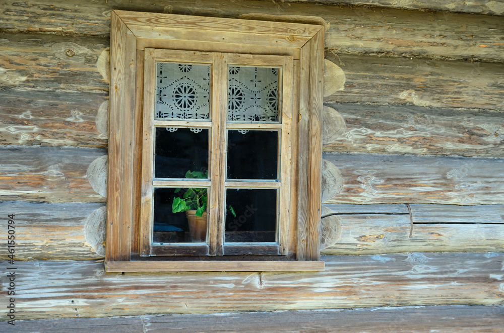 a flower in the window of a village house a flower in the window of a village house