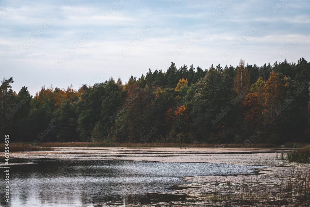 forest lake in early October in Latvia countryside, green and orange leaves on trees, wavy water, blue sky, lovely weather forest lake in early October in Latvia countryside, green and orange leaves on trees, wavy water, blue sky, lovely weather