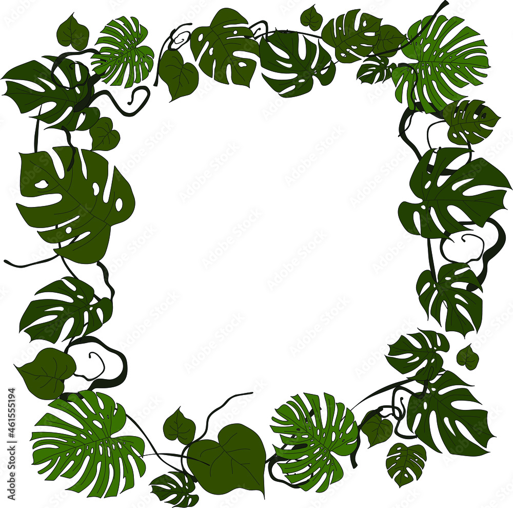Monstera leaves frame for your design, copyspace Monstera leaves frame for your design, copyspace