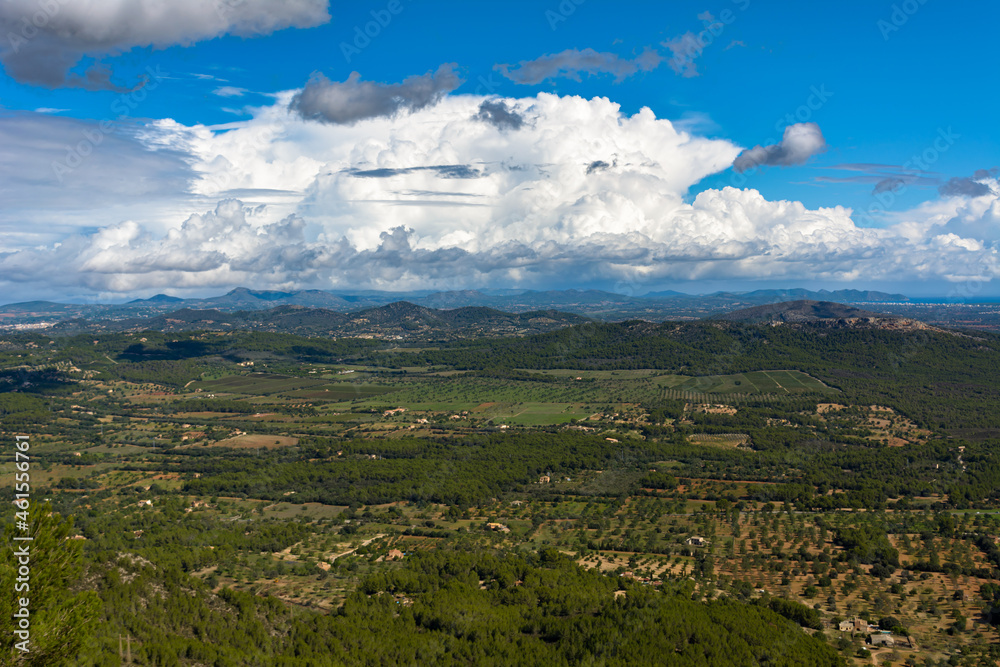 Panoramic aerial view of cloud sky over pine forest