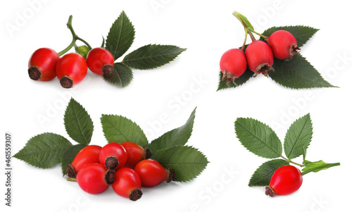 Set with ripe rose hip berries on white background
