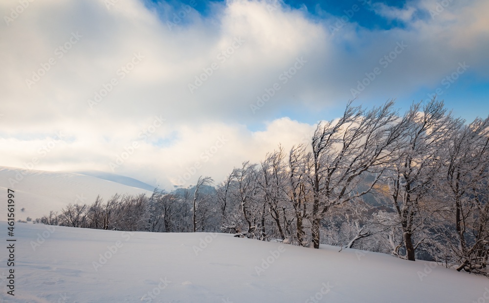 Fluffy clouds shelter under white snow sheltered by forests and beautiful mountains Fluffy clouds shelter under white snow sheltered by forests and beautiful mountains