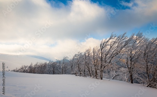 Fluffy clouds shelter under white snow sheltered by forests and beautiful mountains