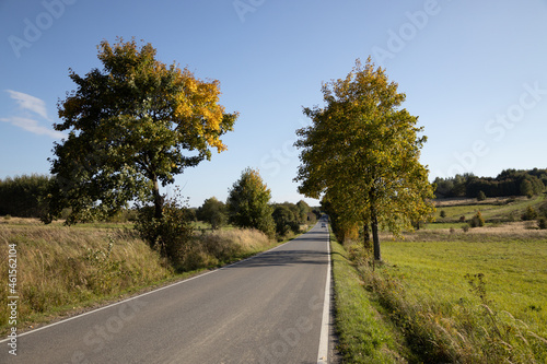 Obraz na płótnie Road in autumn PL w salonie