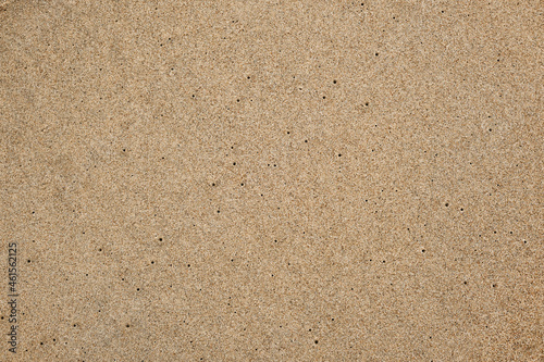 Sandy coast texture