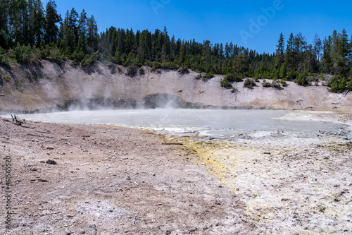 Mud Caldron in the Mud Volcano area of Yellowstone National Park