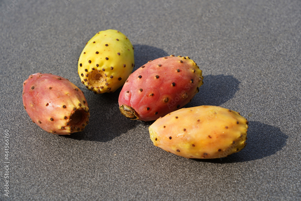 Prickly pear . ( Cactus fig )  Various colors, white, red, orange