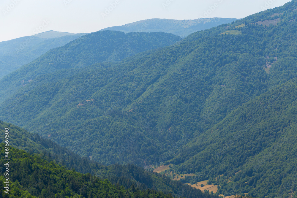 Rhodopes, are a mountain range in Southeastern Europe. Panorama. The forest area covers the mountains.