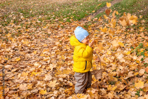The kid throws autumn leaves in the park. Copy spase.