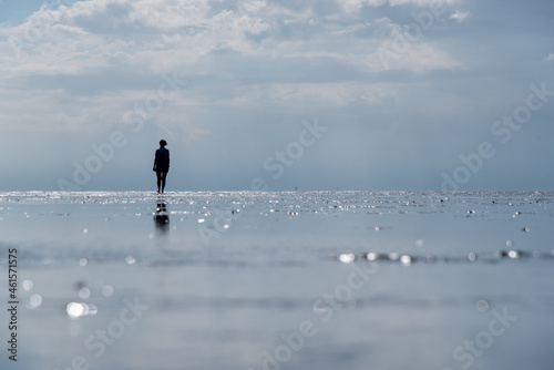 Wattenmeer mit Wattwanderer