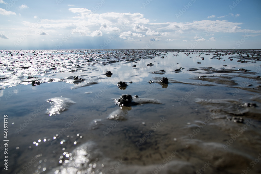 Wattenmeer