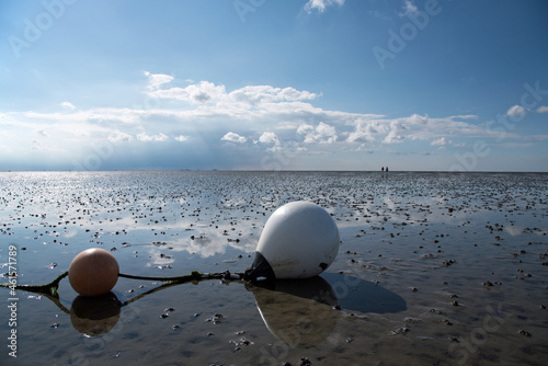 Wattenmeer photo