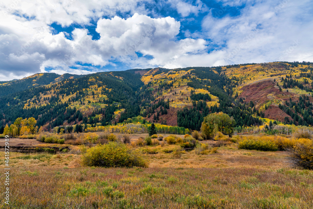 Fototapeta premium Autumn leaf colors Colorado