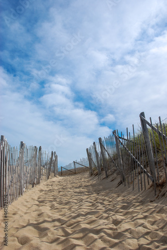 Beach Dunes Pathway - New England