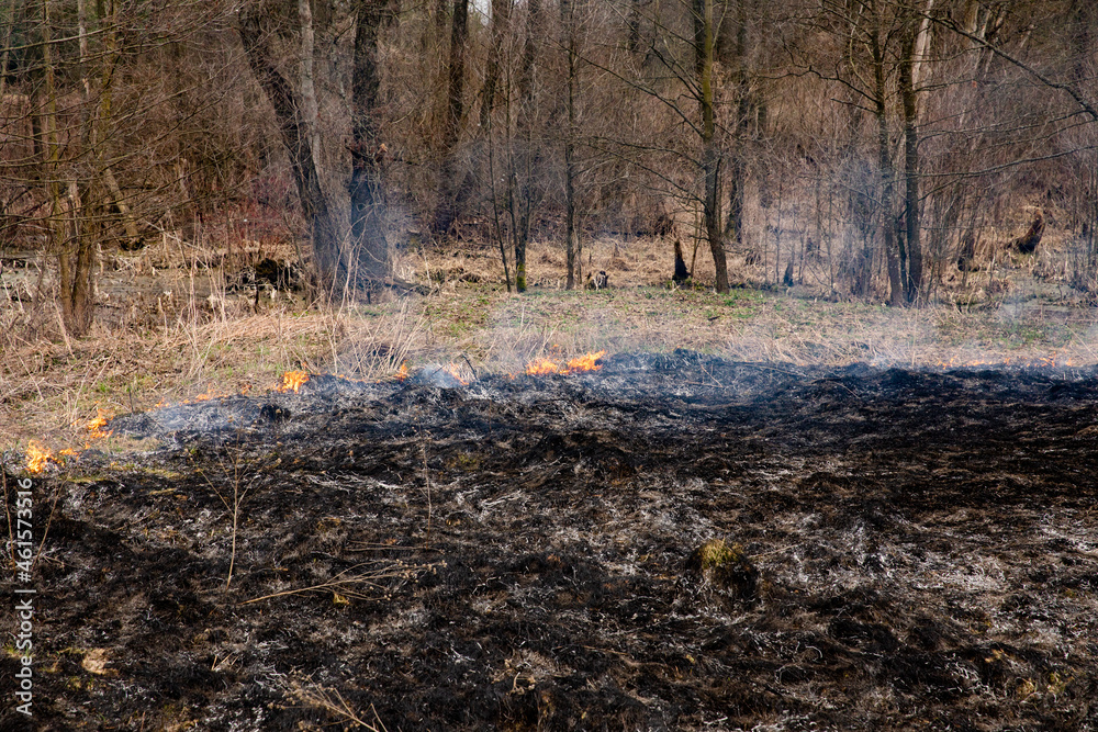 Burning dry grass on the field. On a hot day, dry grass burns on the field. Careless handling of fire. Forest fire. A farmer burns stubble. Fire in the field.