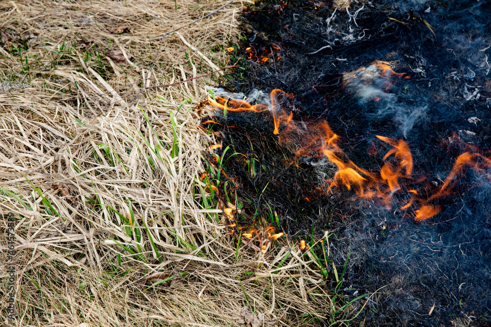 Burning dry grass on the field. On a hot day, dry grass burns on the field. Careless handling of fire. Forest fire. A farmer burns stubble. Fire in the field. Burning dry grass on the field. On a hot day, dry grass burns on the field. Careless handling of fire. Forest fire. A farmer burns stubble. Fire in the field.