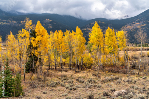 Autumn leaf colors Colorado