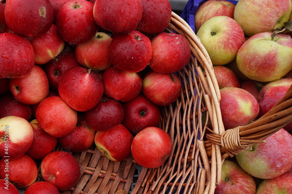 Red autumn apples in a basket - harvesting concept.